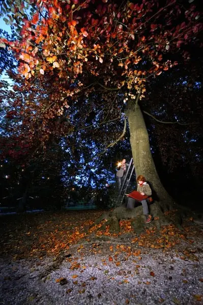 Beeld_2_herfst9689
